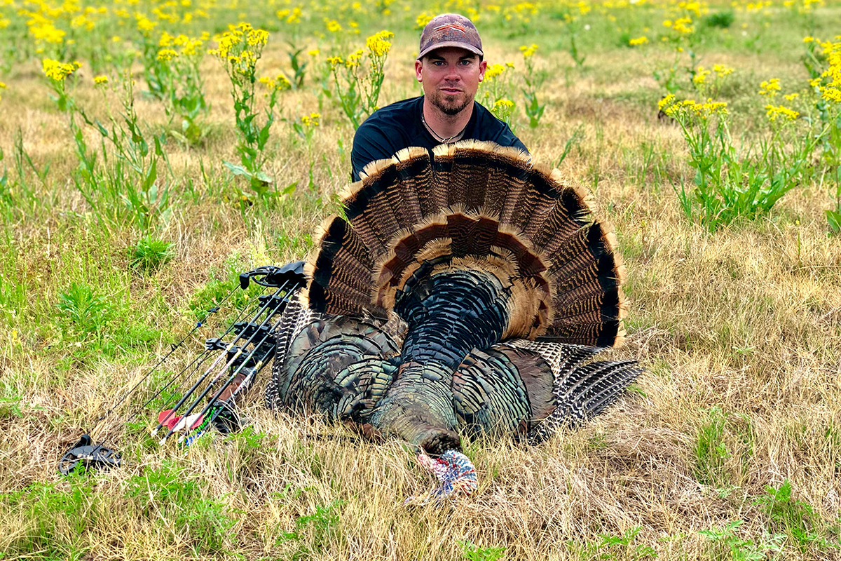 Wildlife Turkey Photography