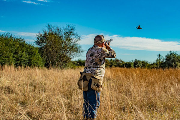 Dove Hunting Photography