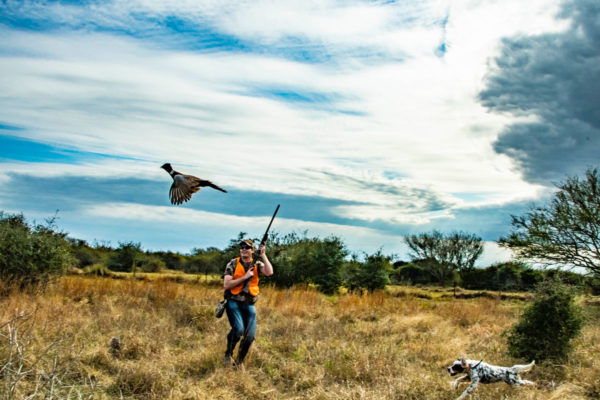 Bird Hunting Field Photos