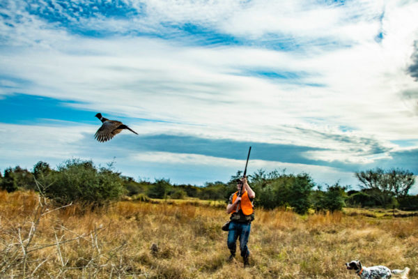 Bird Hunting Field Photos