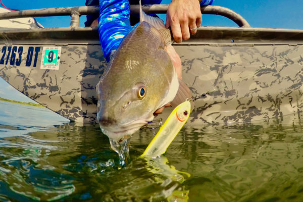 Coast Fishing Photo